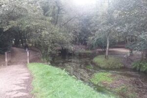 A Barciela (camino ingles)