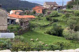 A Casa das Barreiras