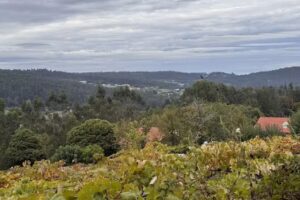 A casa dos zoqueiros