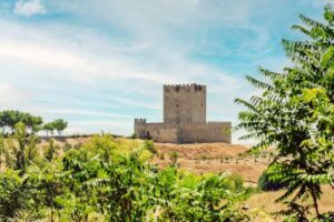 abba Las Vi&ntilde;as Tiedra