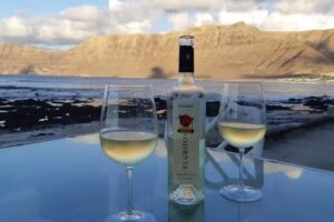 Absolute Beachfront Apartment