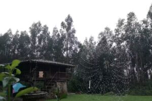 Acogida Tradicional Jacobea en Pe&oacute;n