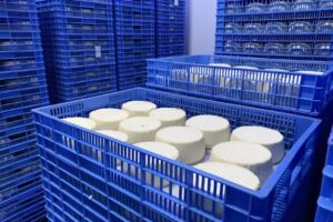 Actividades Barbancho