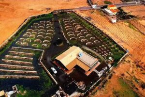 Agriturismo El Bounty