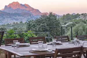 Agroturisme Son Alzines