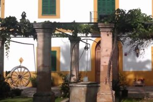 Agroturismo Finca Son Amora