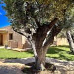 Agroturismo Sa Marina