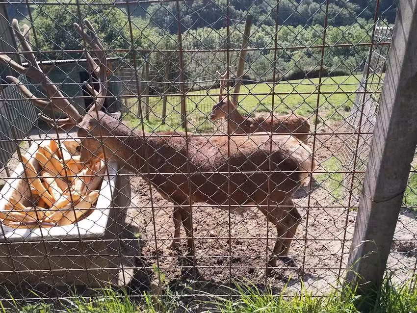 Agroturismo Usasku Berri Nekazal Turismoa