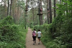 Albergue Arator&eacute;s