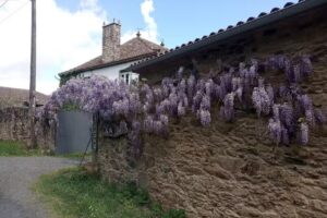 Albergue &ndash; Cafeter&iacute;a &laquo;Casa Leiras 1866&raquo;