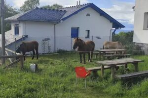Albergue de Peregrinos de Berducedo