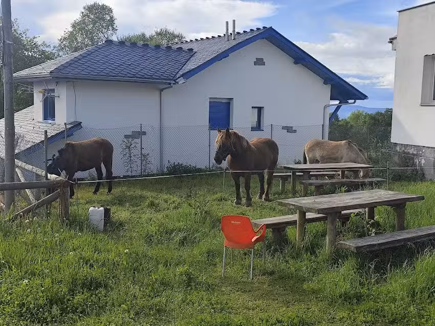 Albergue de Peregrinos de Berducedo