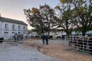 Albergue de peregrinos de Gont&aacute;n