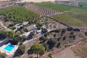 Albergue El Ca&ntilde;averal