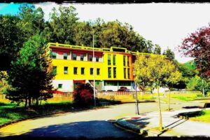 Albergue El Flor&aacute;n