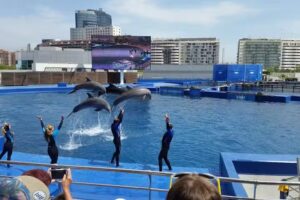 Albergue &laquo;Entrenaranjos&raquo;