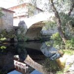 Albergue estaciones vivas