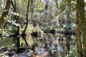 Albergue Municipal &laquo;Vicente Agull&oacute;&raquo;