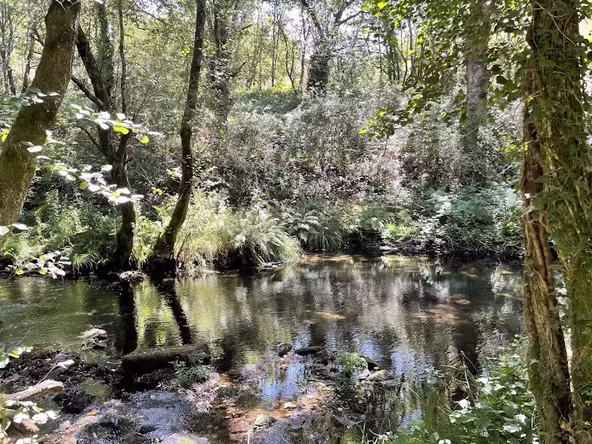 Albergue Municipal &laquo;Vicente Agull&oacute;&raquo;