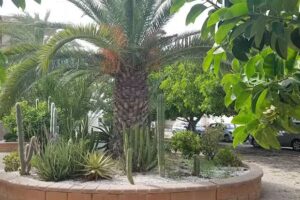 Albergue San Jos&eacute; Obrero