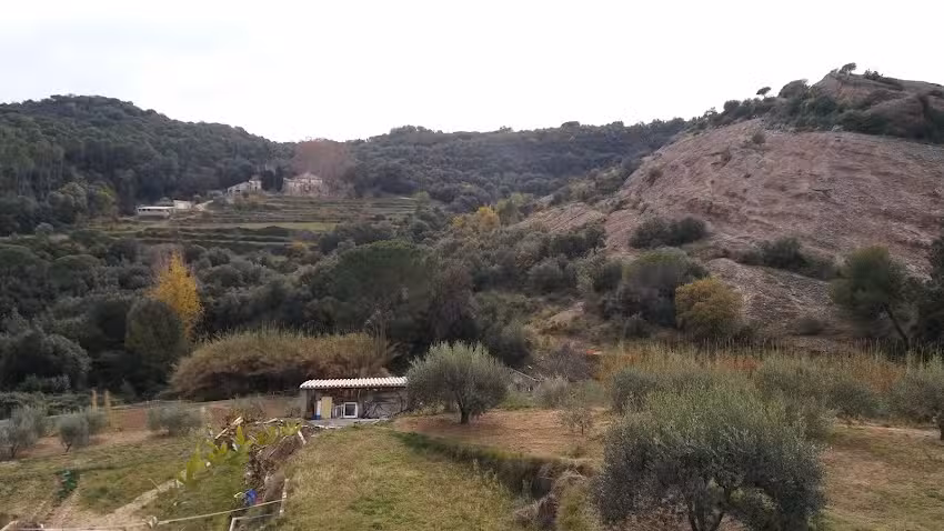 Aldeas Infantiles S. A.