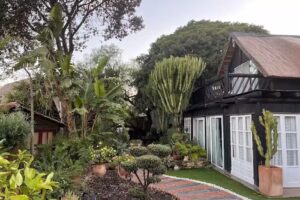 Alojamiento Cortijo Grande