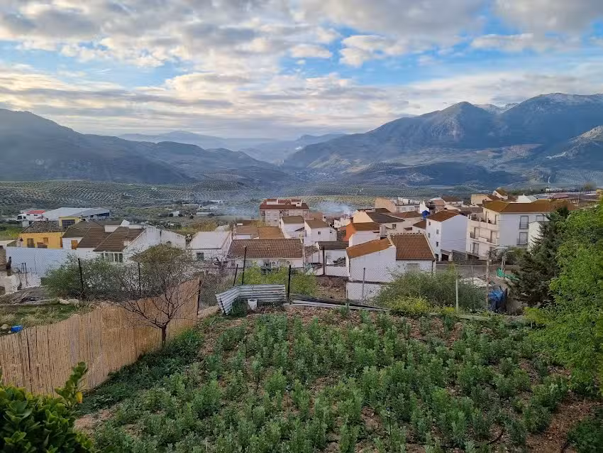 Alojamiento Cueva &laquo;La Noguera&raquo;