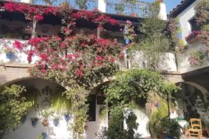 Alojamiento de Patios