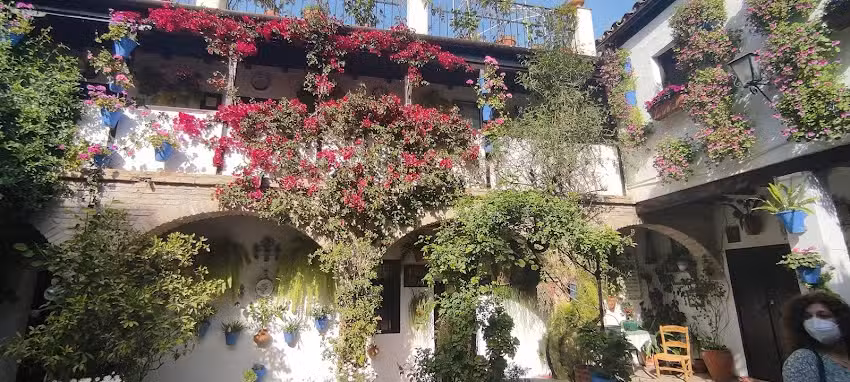 Alojamiento de Patios