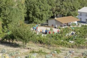 Alojamiento El Espinar