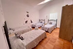 Alojamiento Los Tejos-Arroyo Fr&iacute;o