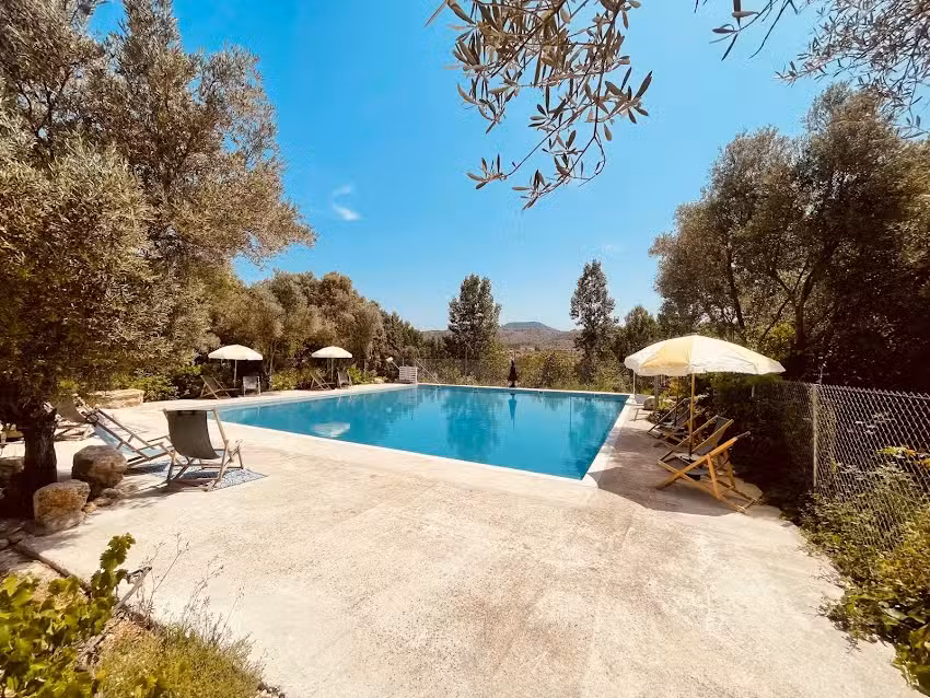 Alojamiento Palaz Cinco