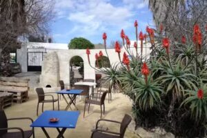 Alojamiento Rural El Cubillo