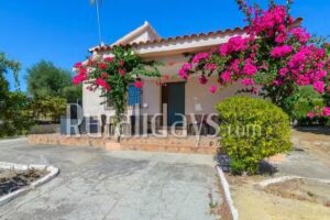 Alojamiento Rural. Las Buganvillas. Sierra De GRAZALEMA