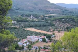 Alojamiento rural y Restaurante La Tin&aacute;