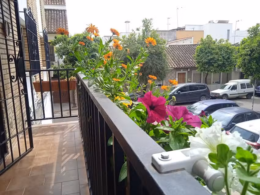 Alojamiento vacacional Casa Violeta