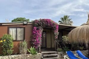 Alojamientos Bayzara