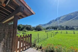 Alojamientos de Agroturismo El Llagar de Mon