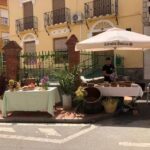 Alojamientos El Carmen