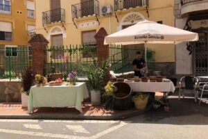 Alojamientos El Carmen