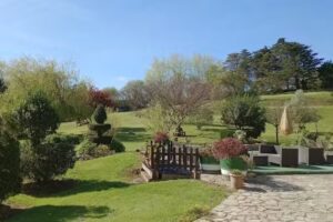 Alojamientos El P&aacute;ramo