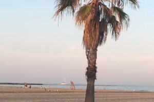 Alquiler vacacional en Burriana, Primera fila de playa