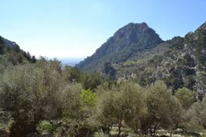 Alquiler Vacacional en Mallorca | Villas Tramuntana