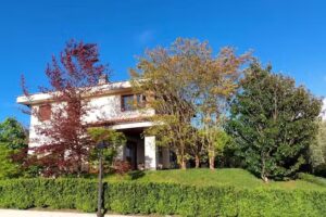 Alquiler Vacacional La Cubillana