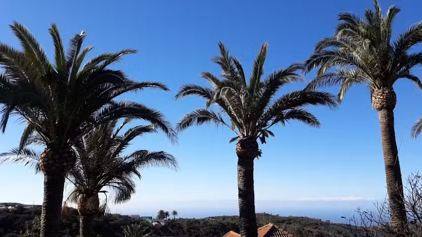 Amparo restaurante Las Hayas