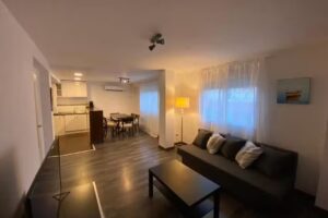 AMPLIO Y LUMINOSO APART