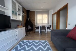 Apartament Loft del Taga