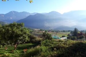 Apartament rural Cal Carter