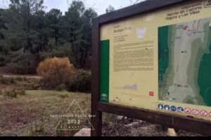 Apartamento &Aacute;guila real