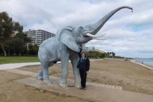 Apartamento Costa Caribe III Marina Dor